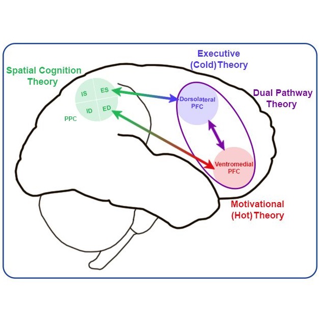 Towards a Spatial Cognition Theory of ADHD